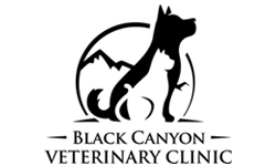Photo of Black Canyon Veterinary Clinic, LLC. Photo of Black Canyon Veterinary Clinic, LLC.