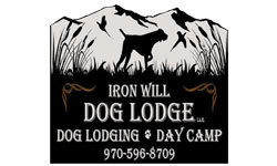 Logo for Iron Will Dog Lodge Logo for Iron Will Dog Lodge